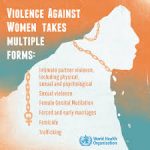 VICCDA Calls For Decisive Action To End Violence Against Women