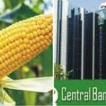 CBN Moves To Crash Maize Price