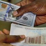 Naira Loans: CBN Stops Foreign Currency As Collateral