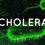 Cholera Outbreak Claims Seven in Taraba